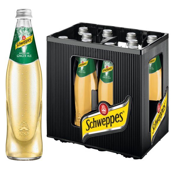 Schweppes Ginger Ale 10/0,5l