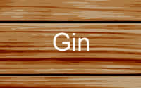 Gin